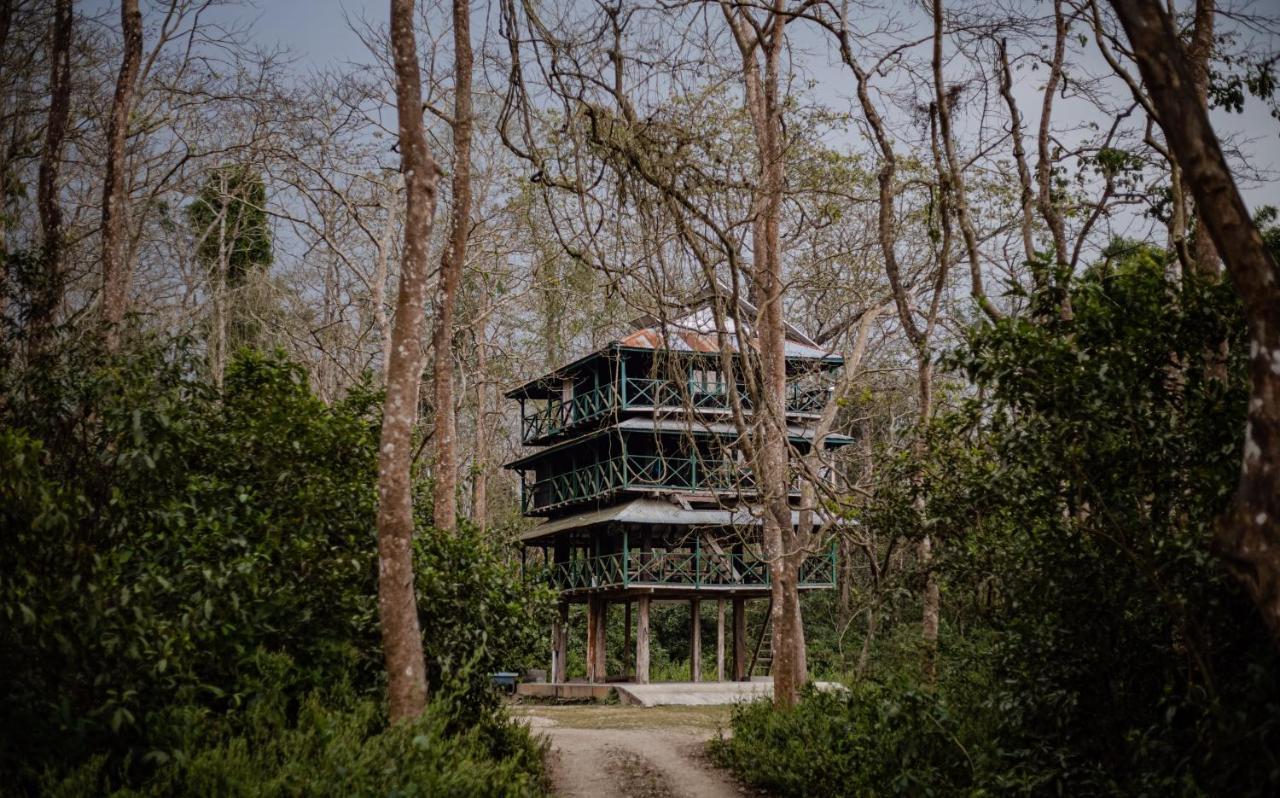 Hotel Tharu Garden, Sauraha Exterior photo