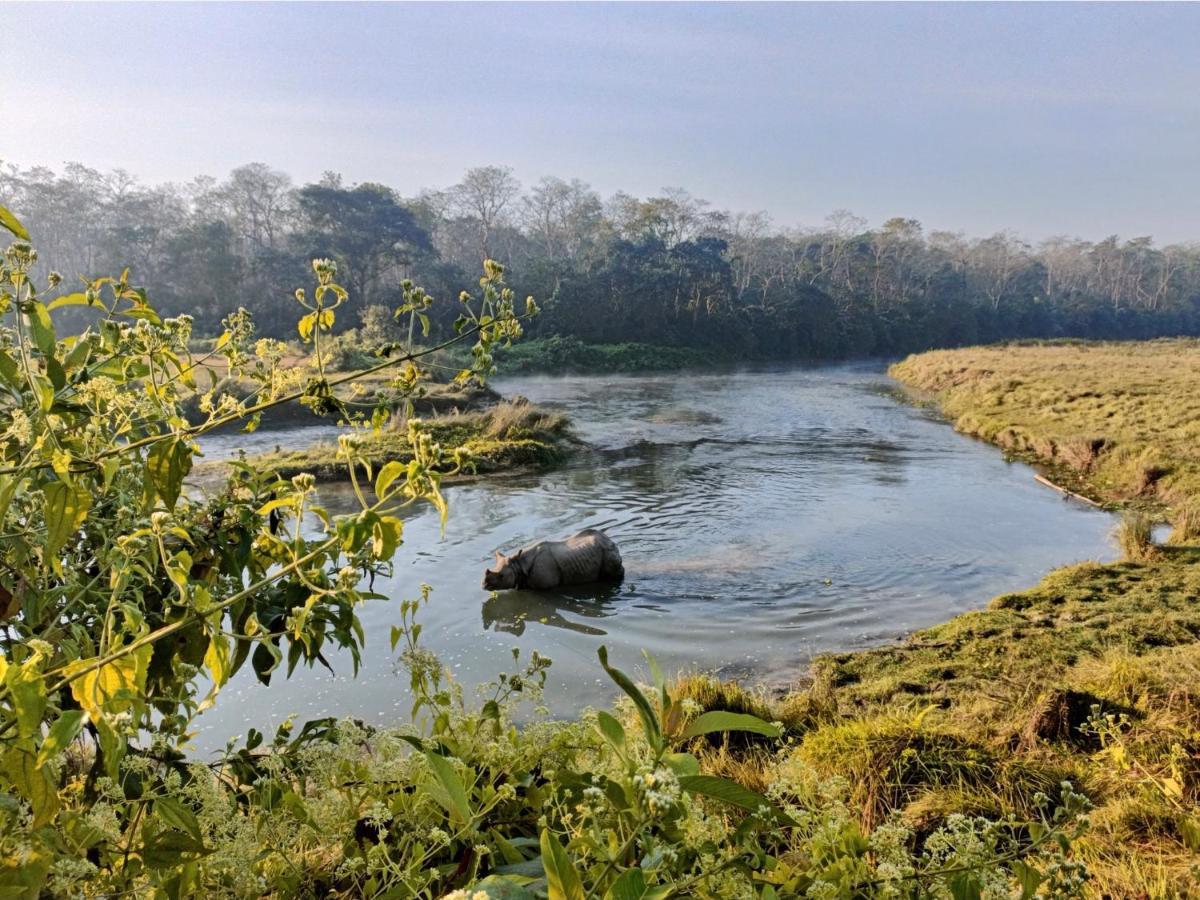 Hotel Tharu Garden, Sauraha Exterior photo