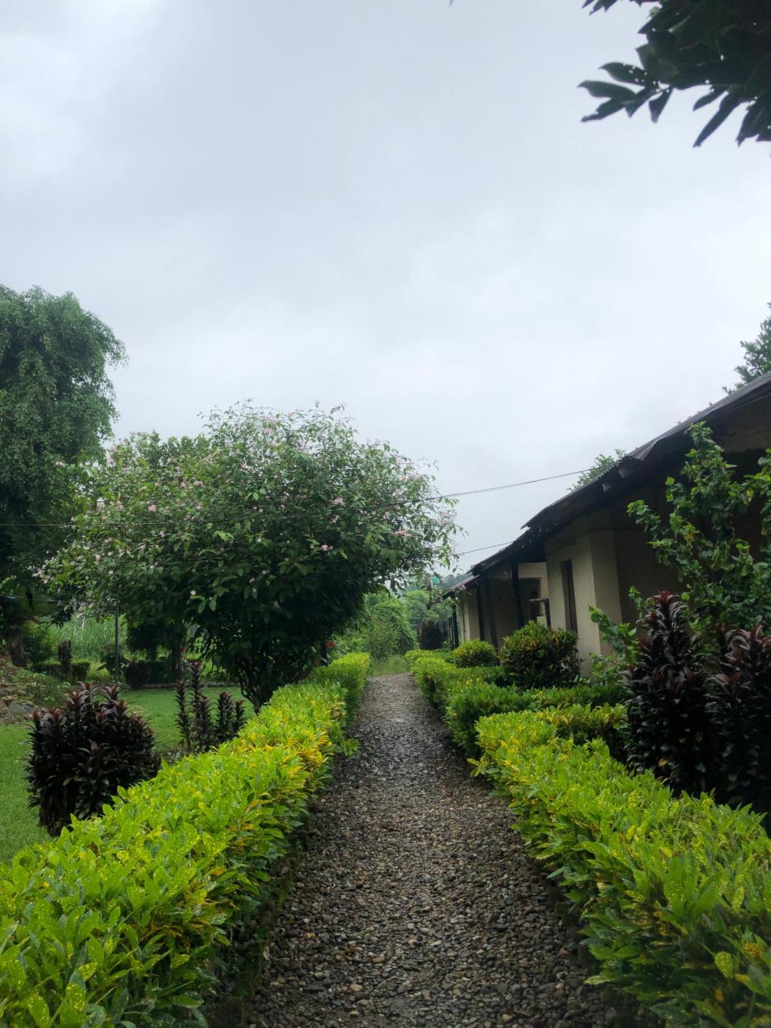 Hotel Tharu Garden, Sauraha Exterior photo